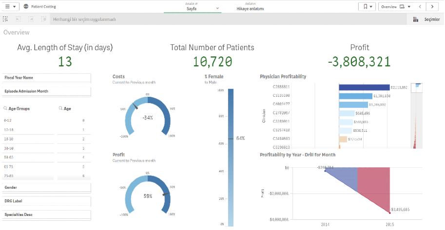 Qlik Sense İstanbul